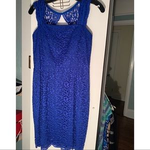 Cynthia Steffe Blue lace fitted dress